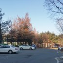 수원-0244 이미지