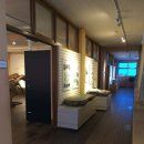 경북대학교자연사박물관 이미지