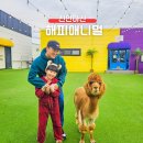 해피애니멀 이미지