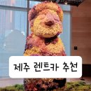 제주 렌트카 추천/ 최저가, 무제한자차, 주의사항