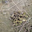 회천농업협동조합 회령지점 이미지