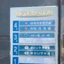 뽕이나무 이미지