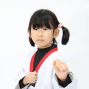 봉화태권도장 이미지