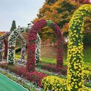 축제(동양화) 이미지