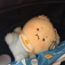 거북목욕탕 | 특별 편성: 홈리스 일기 #3 - 부산