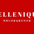 세레니끄 잠실월드마크