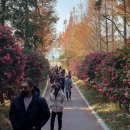 신안(여) 이미지