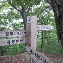 부산(제371차),대구(428차), 울산, 충북 흥사단 YKA 산악회 하계 합동 천성산 산행 결과보고 이미지