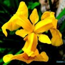 행복상점 이미지