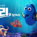 도리 이미지