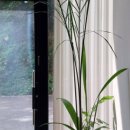 bagus spa(바구스스파)
