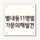 견성군 이돈묘역 | 별내동 11명벌 가문의 재발견