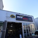 이프로개러지