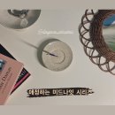 도요새 세라믹의 미드 나잇(mid night) 시리즈 구매 후기