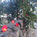 신흥2리 이미지