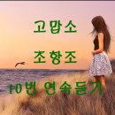 고맙소 - 조항조 10번 연속듣기(가사포함) 이미지