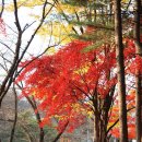 서울대공원 캠핑장 이미지