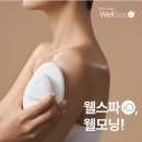 웰스바디케어