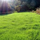 방하경로당 이미지