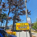 킹콩솔숲캠핑장 | 태안 곰섬캠핑장 석양 오션뷰 곰섬 킹콩솔숲캠핑장
