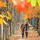 경주숲 1,2 이미지