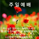 엄마의 행복 이미지