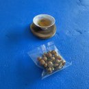 라모타B 이미지