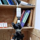 로하동물병원 이미지