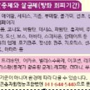 봉산면011 이미지