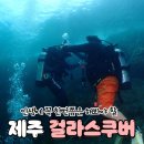 걸라스쿠버다이빙 | [제주도 스쿠버다이빙] "걸라스쿠버" :: 말로 표현 못할 즐거움💛