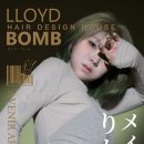 로이드밤헤어 이미지