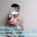 동아목장 이미지