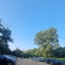 목상동 솔밭길 이미지