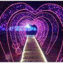 태안오션힐리조트 이미지