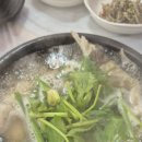 박가네 대구랑 아구랑