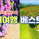 거제-녹차밭.바람의언득.몽돌해수용장.수국명소.해바라 이미지