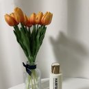 리헤어필 - 달서구 상화북로 69 | 리헤어필
