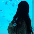 울릉명가펜션 이미지