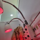 경희용한의원 이미지