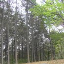 다루농장 이미지