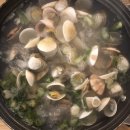 모아호프 | 성시경 먹을텐데 반포동맛집 한신치킨호프, 반원칼국수 치킨, 해물파전, 오징어볶음, 조개탕 후기