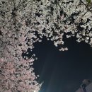 (주)윤삼 네이버블로그