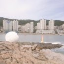 우리땅농수산
