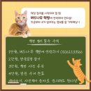 신평전집 이미지