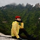 신선대