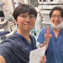 앨리스in동물병원 | [수의대생 실습 후기] 내가 일본 동물병원에서 배운 것들