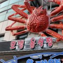 비블 이미지