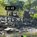 충청도민박 | 근교 아이와 가기 좋은 충청도 계곡 [물빛쉼터] 추천 평상 대여 및 여름캠핑 두번 방문후기 및 팁 명당자리