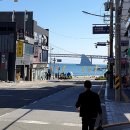 시조본가 이미지