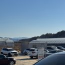 동읍483 | 창원 동읍 대산면 딸기체험 내가키워팜 내돈내산 후기